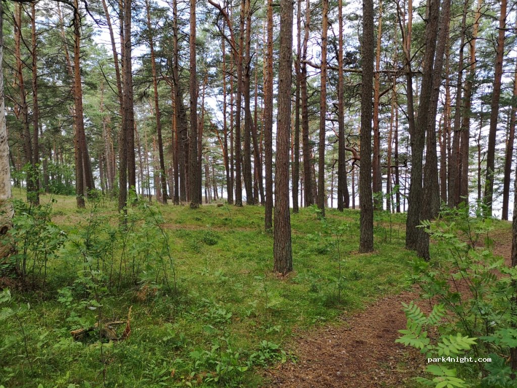 (2160) Saulkrasti - 2 Alfrēda Kalniņa iela — foto 3