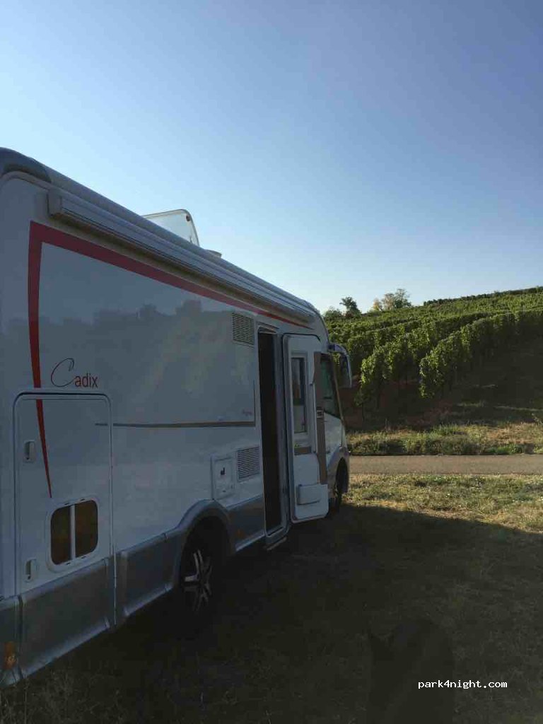 (68040) Ingersheim - 39 Chemin Heimburgweg — foto 2