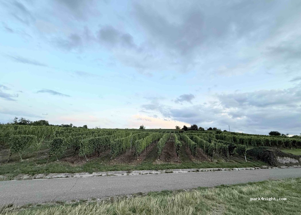 (68040) Ingersheim - 39 Chemin Heimburgweg — foto 4
