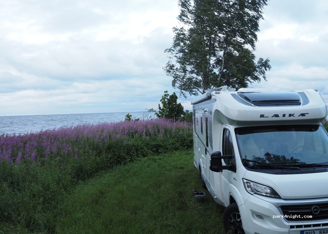 (49417) Kodavere - — foto 3