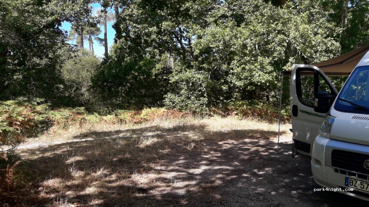 (33950) Lège-Cap-Ferret - 26 Avenue des Régates — foto 2