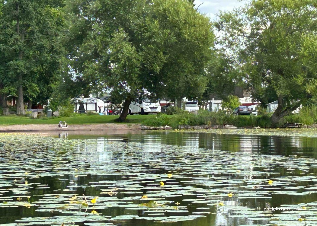 Ekuddens Camping — foto 2