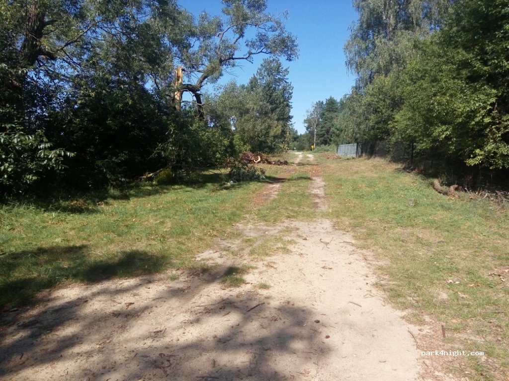 (18-500) Gietki - — foto 2