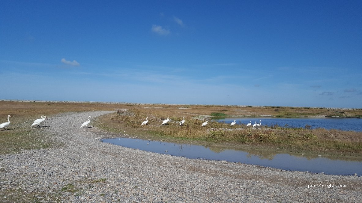 (80460) Woignarue - Les Lirettes — foto