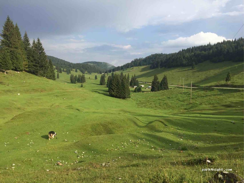 () Ponorului - Unnamed Road — foto