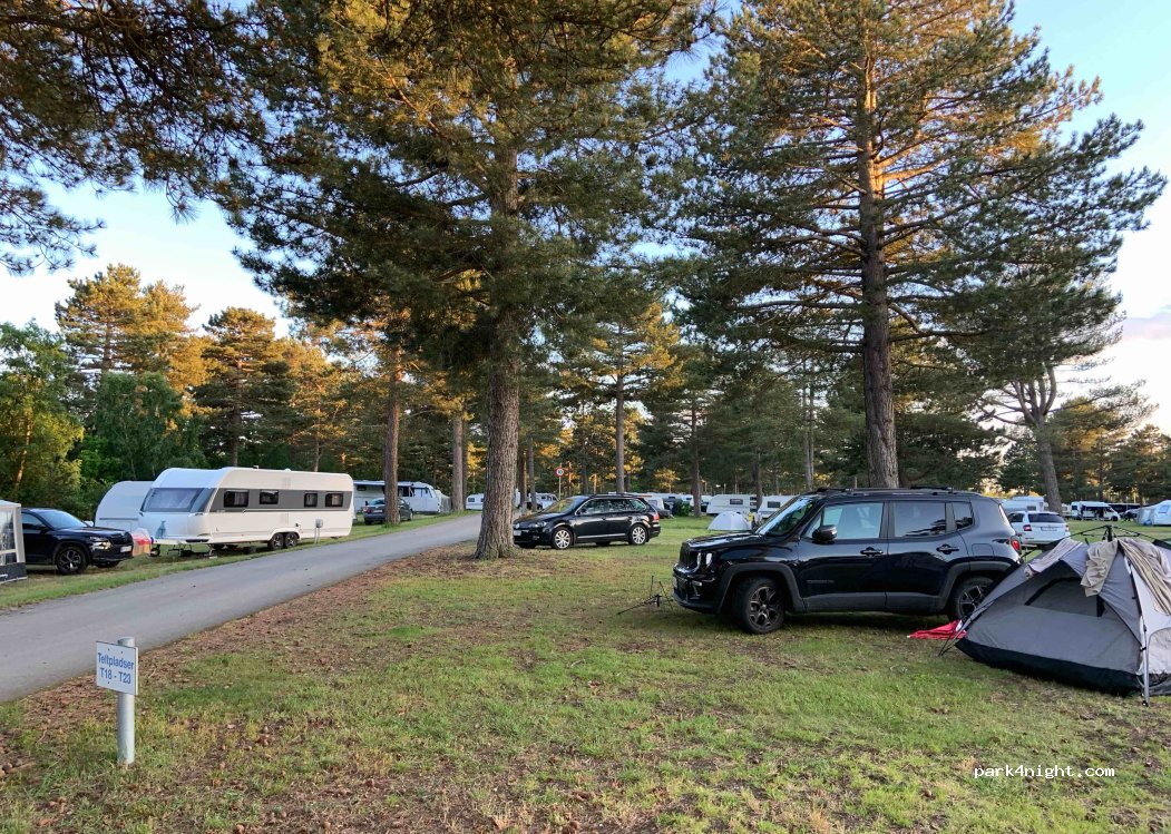 Feddet Strand Camping — foto 4
