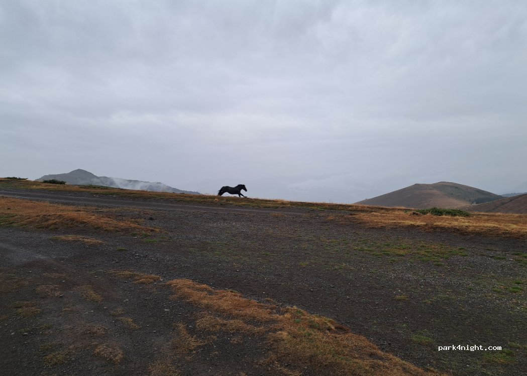(4339) Karlovo - Unnamed Road — foto