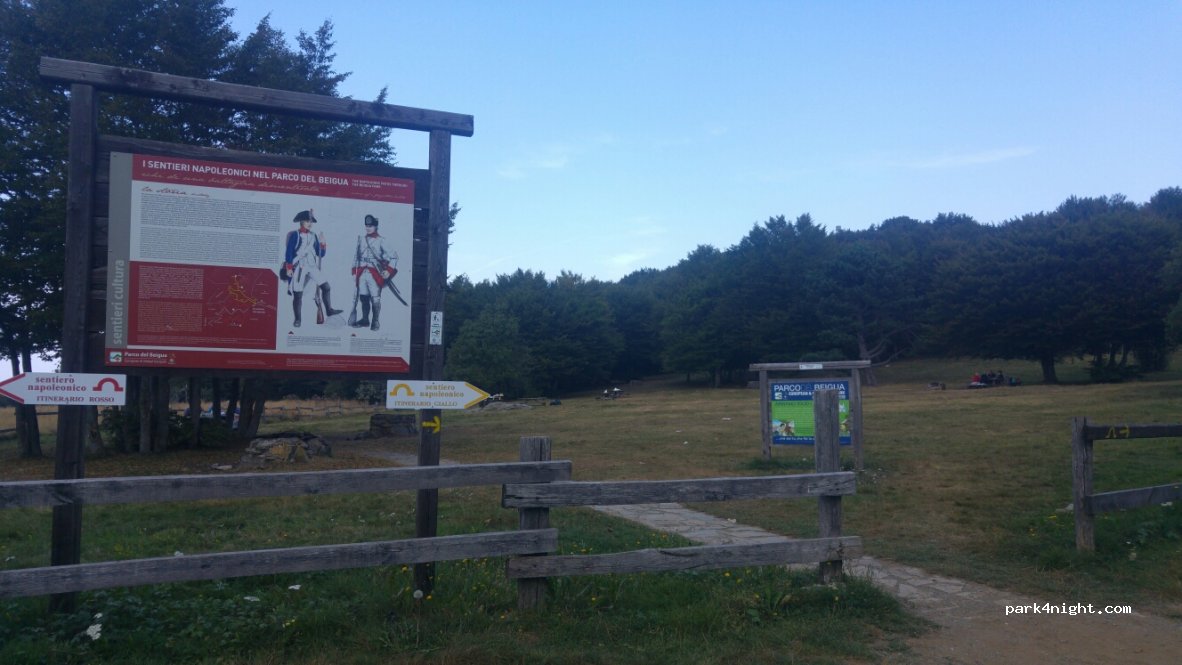 (17019) Stella - SP57 — foto 2