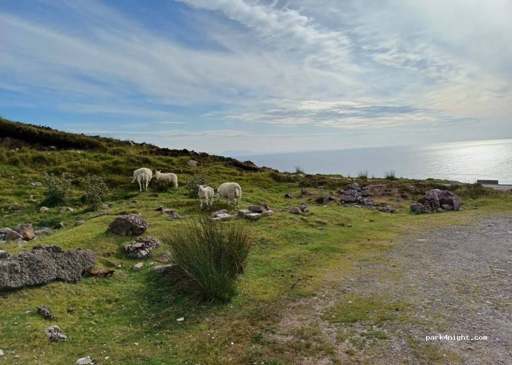 (IV21 2EA) Gairloch - Unnamed Road — foto 4