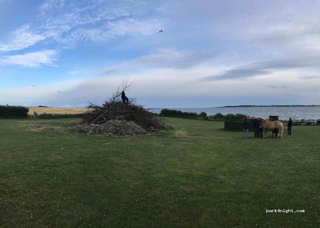 Sinebjerg Camping — foto 3