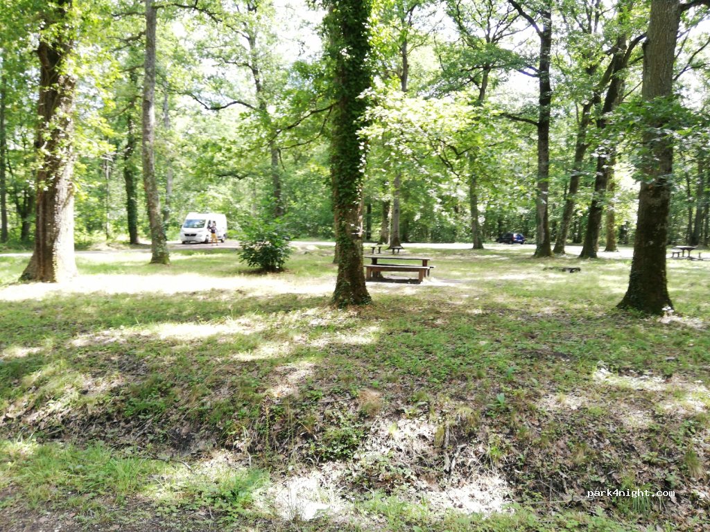 (45770) Saran - Allée Chopin — foto 2