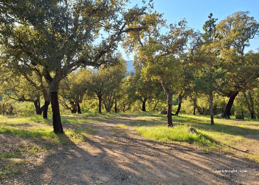 Domaine Kiesale Abbatucci — foto 4