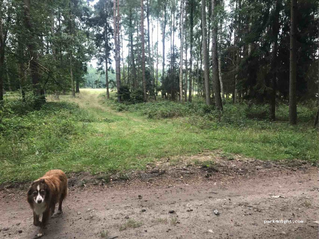 (84-360) Łebieniec - — foto 4