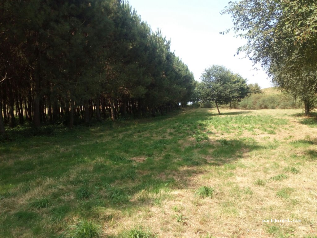 (15820) Santiago de Compostela - San Paio — foto 2