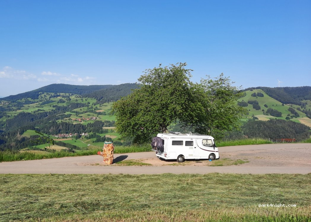 (79677) Fröhnd - 11 Holz — foto 2