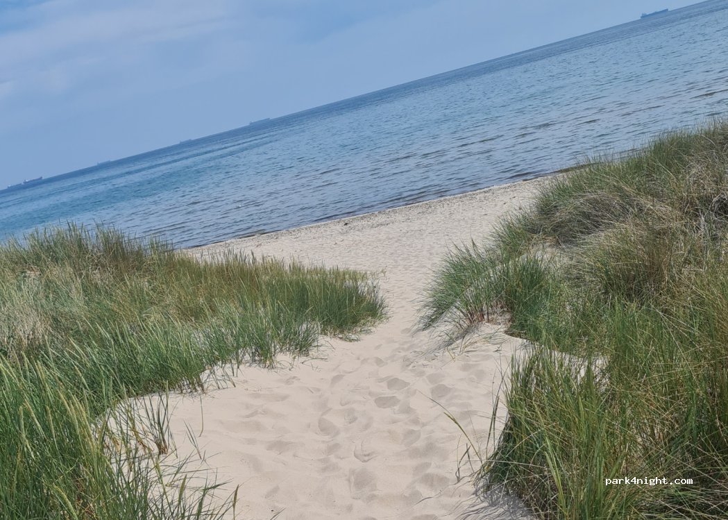 Skagen Sydstrand Camping — foto 4