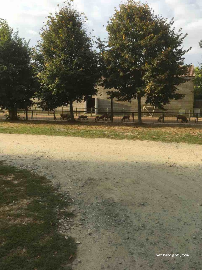 (44320) Frossay - La Poitevinière — foto 2