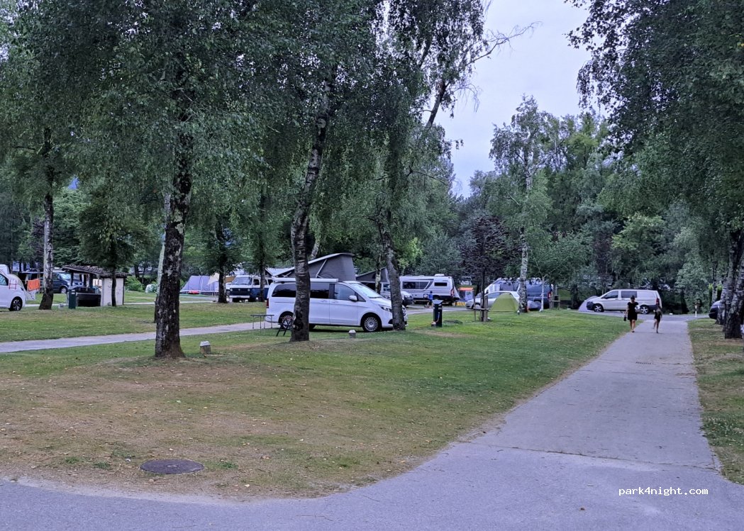 Camping Delta — foto 3