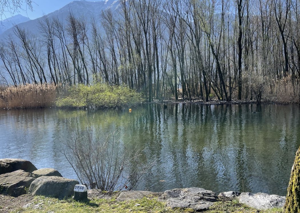 Camping Delta — foto 5