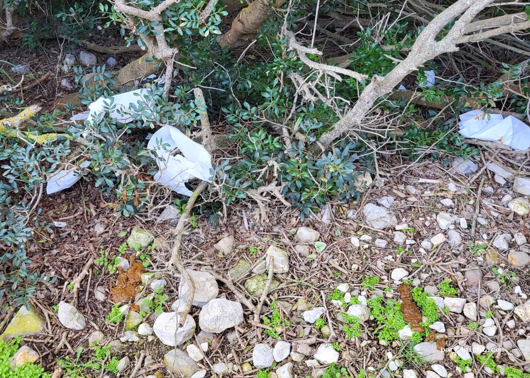 (07400) Alcúdia - Unnamed Road — foto 4
