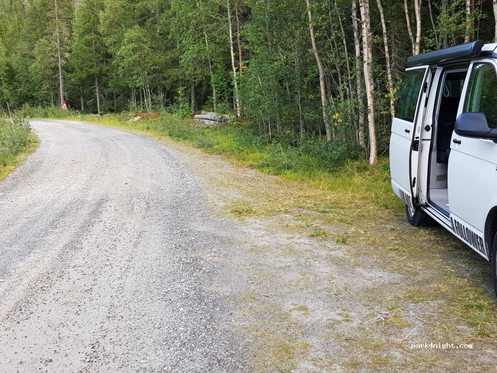 (3632)  - 4 Primær Fylkesveg 40 — foto