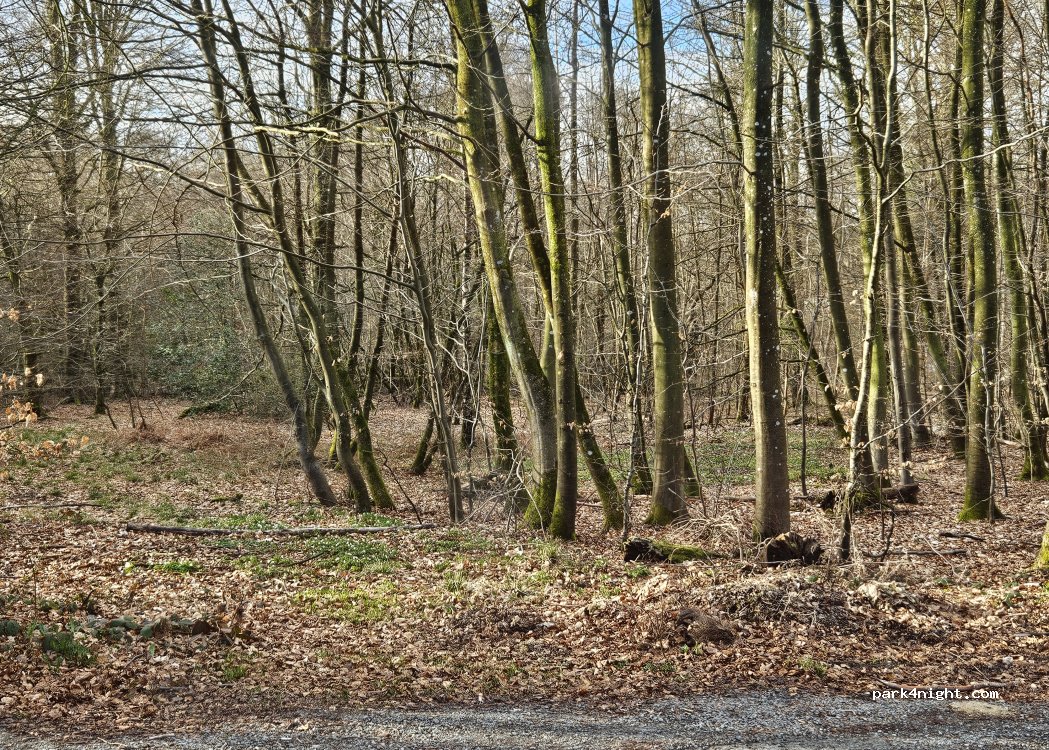 (7100) Vejle - 125 Munkebjergvej — foto 2