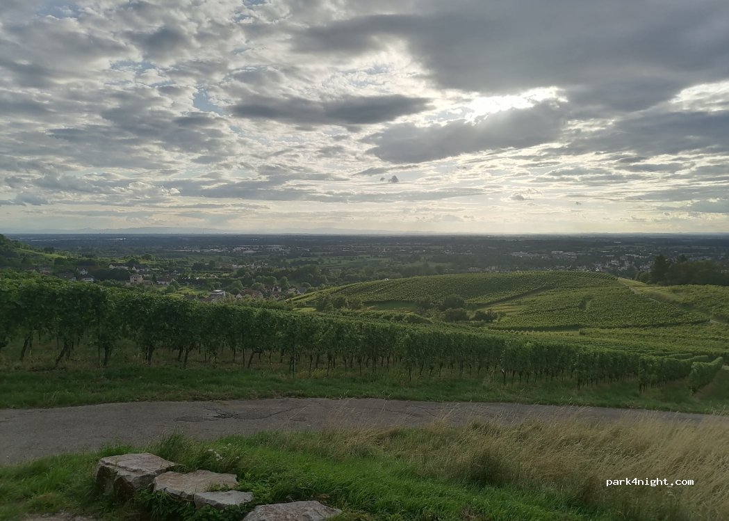 (77815) Bühl - 31 Hohbaumweg — foto 3
