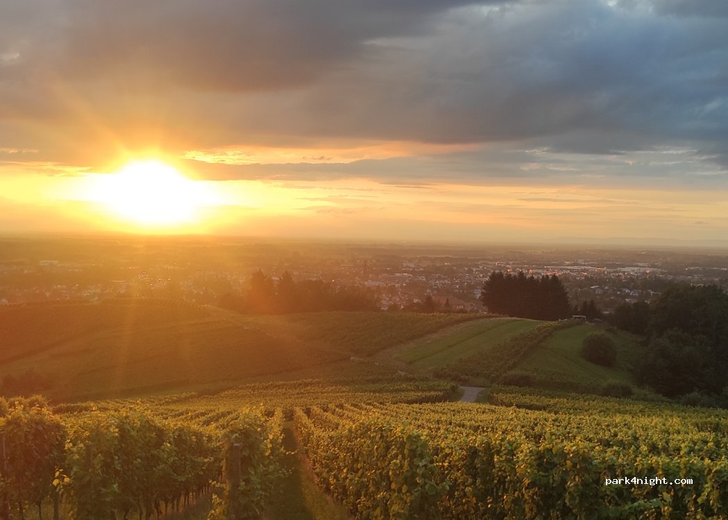 (77815) Bühl - 31 Hohbaumweg — foto 4