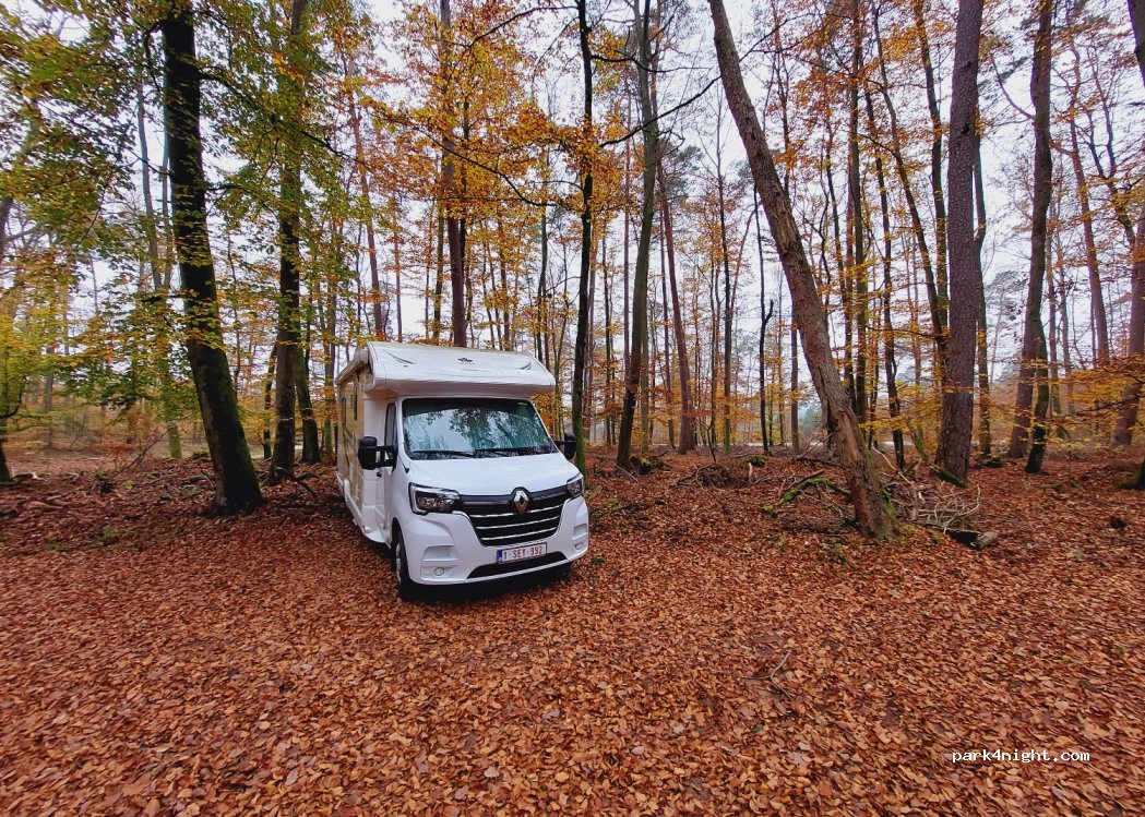 (67290) Wimmenau - D12 — foto 4