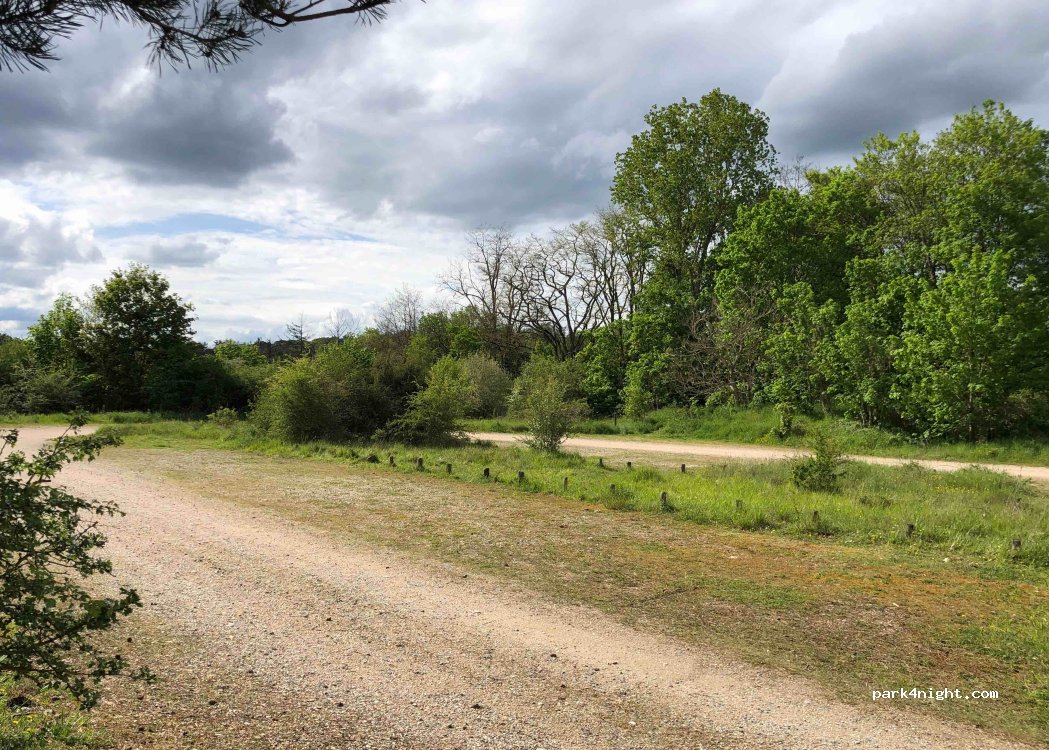 (77300) Fontainebleau - 1 Route de la Faisanderie — foto 3