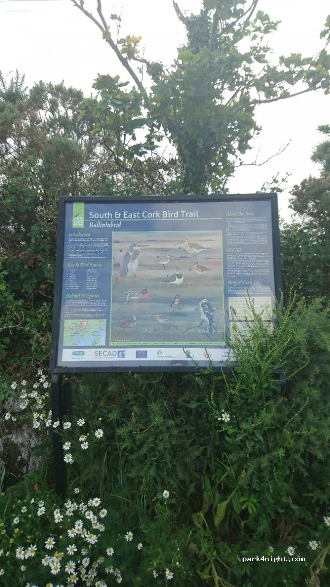 () Ballintubbrid - Unnamed Road — foto 2