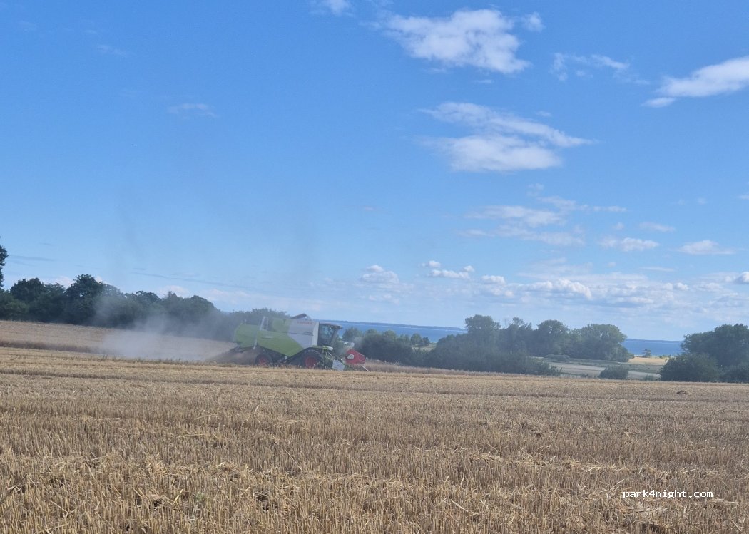 Ferienhof Hansen Rettin — foto 5