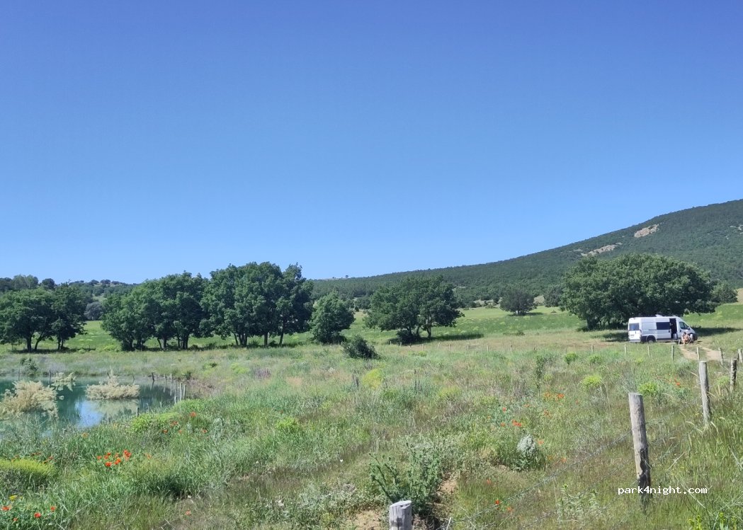 (29700)  - Torul Şiran Yolu — foto 4