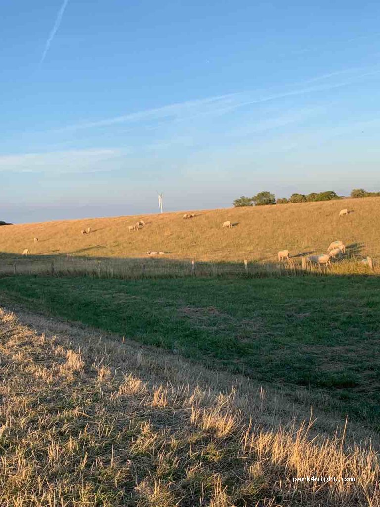 (23769) Fehmarn - Unnamed Road — foto 3