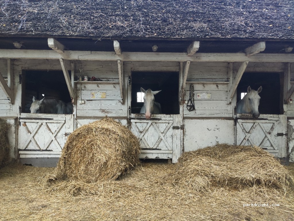 Ritowisko. Agroturystyka. Moczulski R. — foto 2