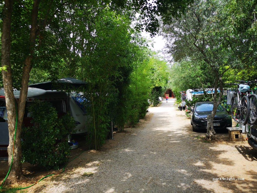 Camping Filip — foto 4