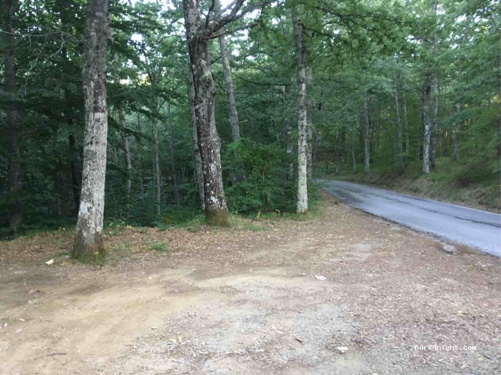 (51010) Marigne di Monigno - 713 Strada Provinciale Val di Forfora — foto 2