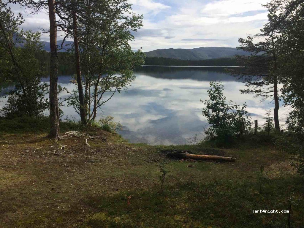 (9334)  - 39 Primær Fylkesveg 87 — foto 3