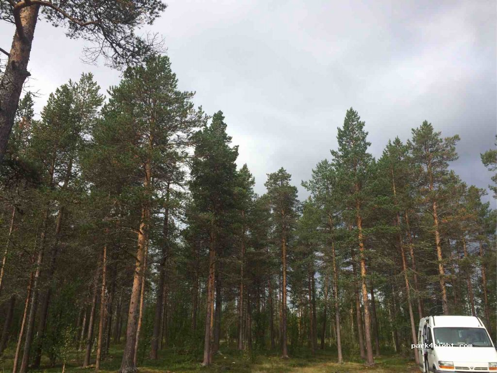 (9334)  - 39 Primær Fylkesveg 87 — foto 4