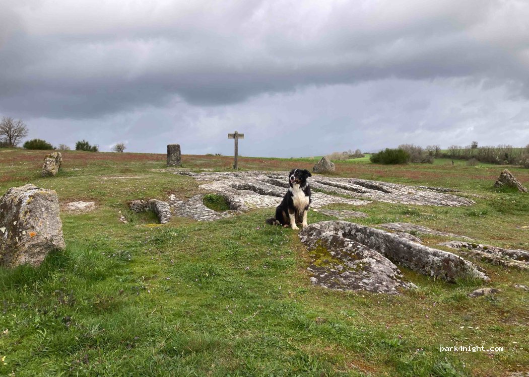 (12400) Les Costes-Gozon - La Serre de Pinsac — foto 4
