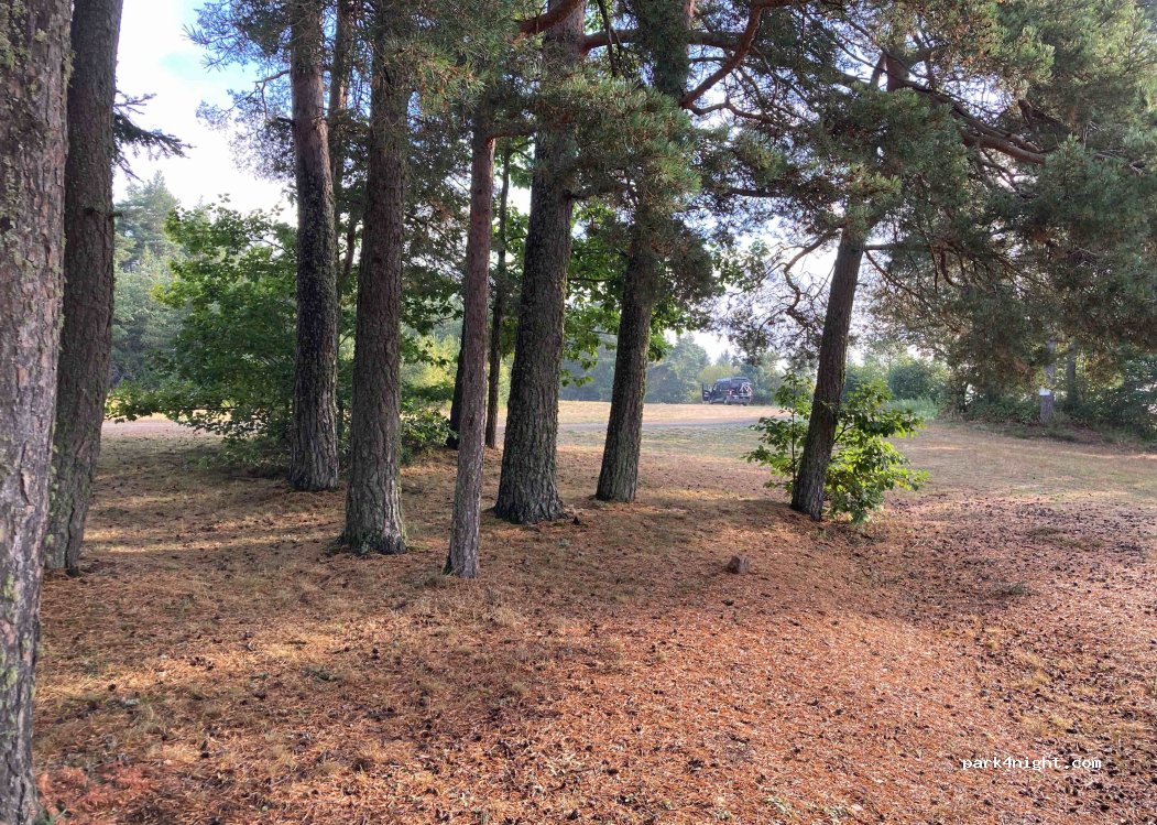 (15100) Alleuze - D40 — foto