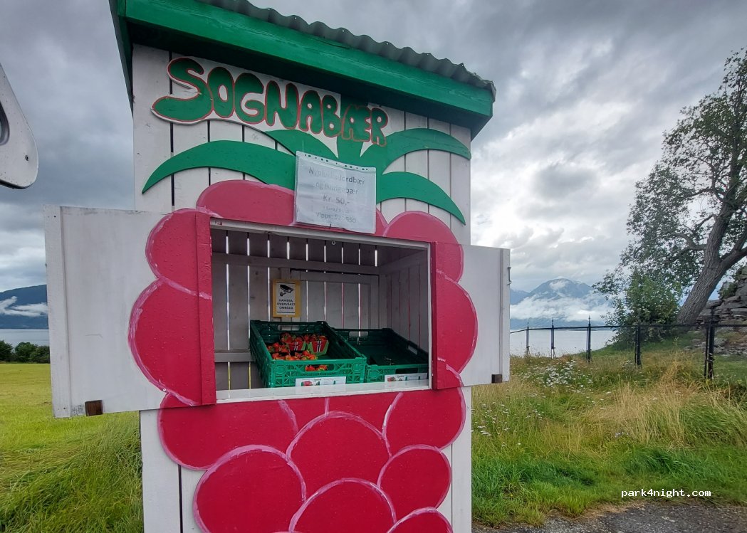 (6894)  - Primær Fylkesvei 602 — foto 3