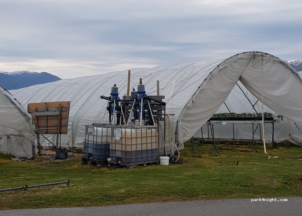 (6894)  - Primær Fylkesvei 602 — foto 4