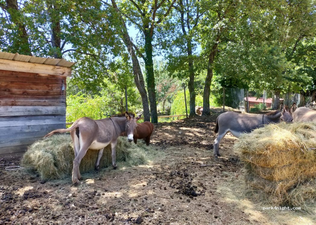 ferme auberge La PITCHOUNETTE — foto 4