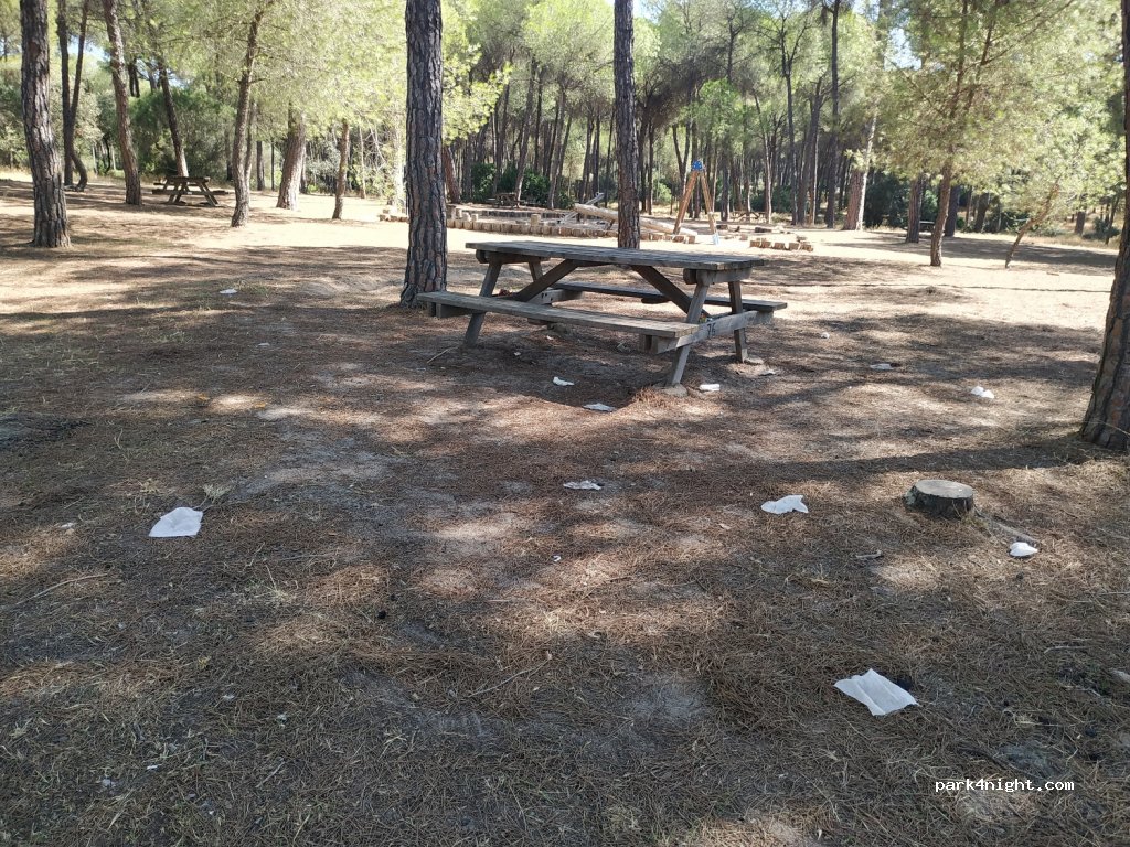 (41849) Aznalcázar - SE-667 — foto 2