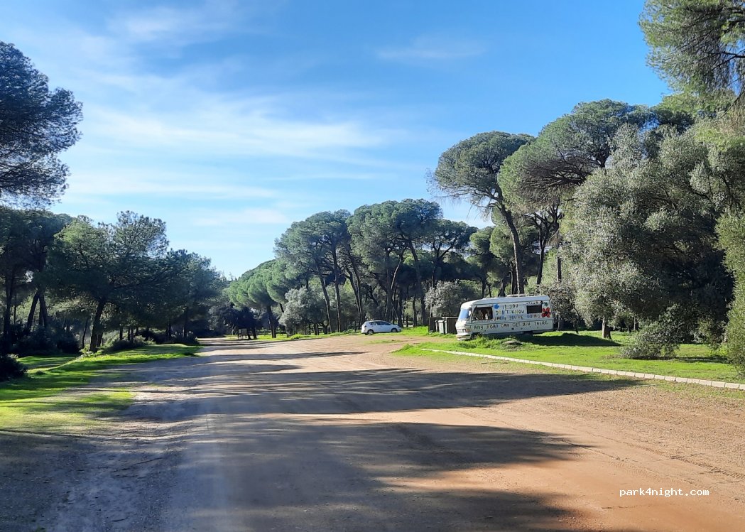 (41849) Aznalcázar - SE-667 — foto 3