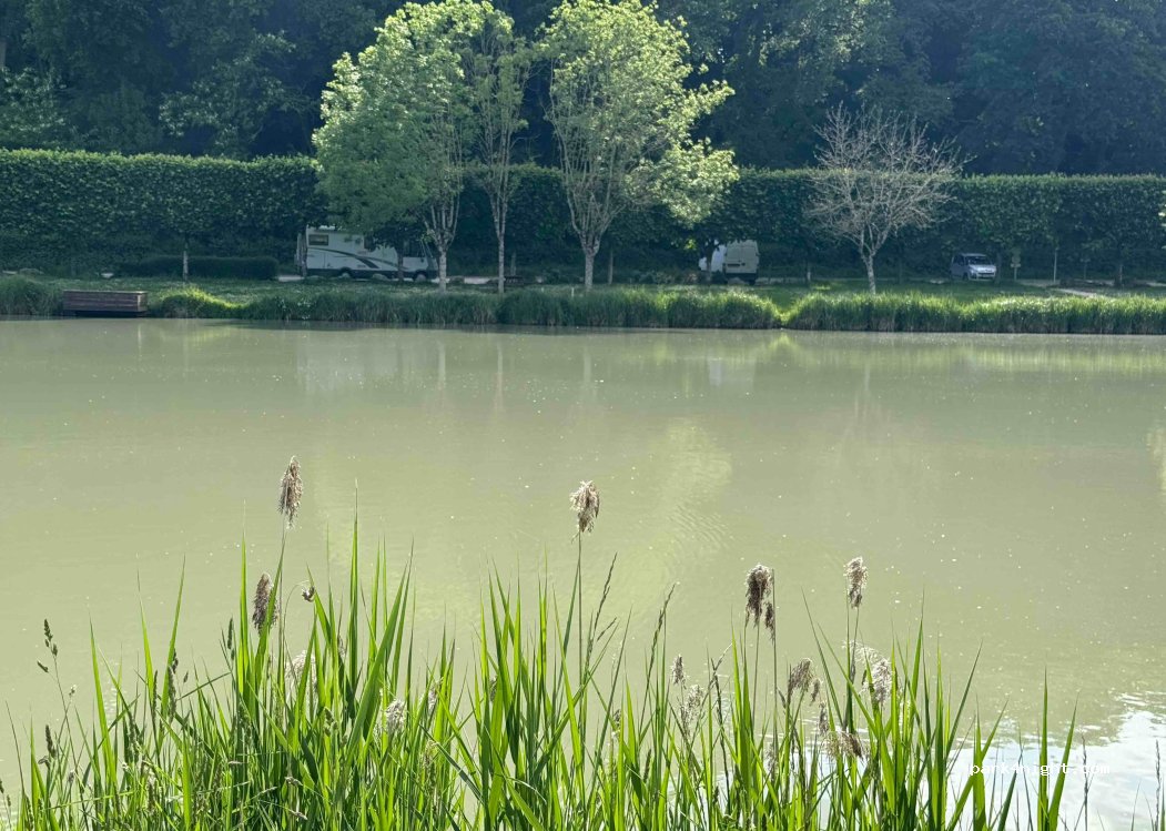 (41150) Chouzy-sur-Cisse - Les Grandes Îles — foto 5