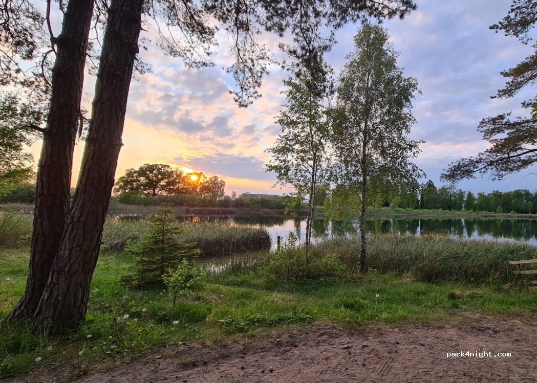 (623 74)  - 923 ETELHEM SIGVALDE — foto