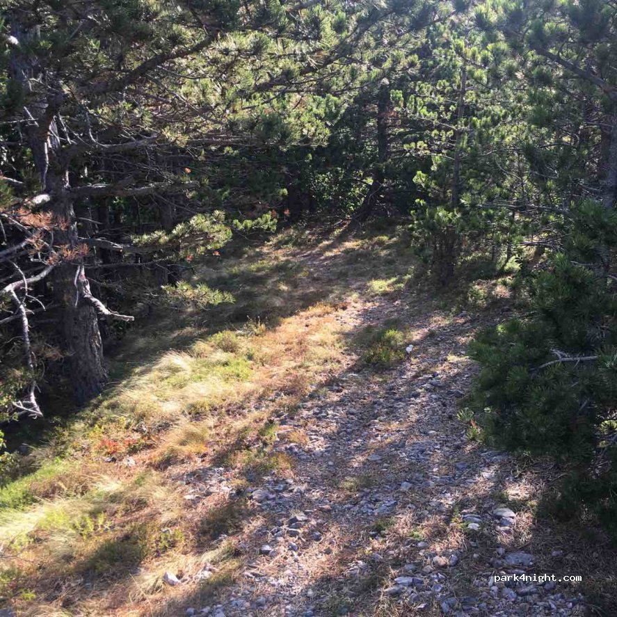(53288) Sušanj Cesarički - 19 D25 — foto 2