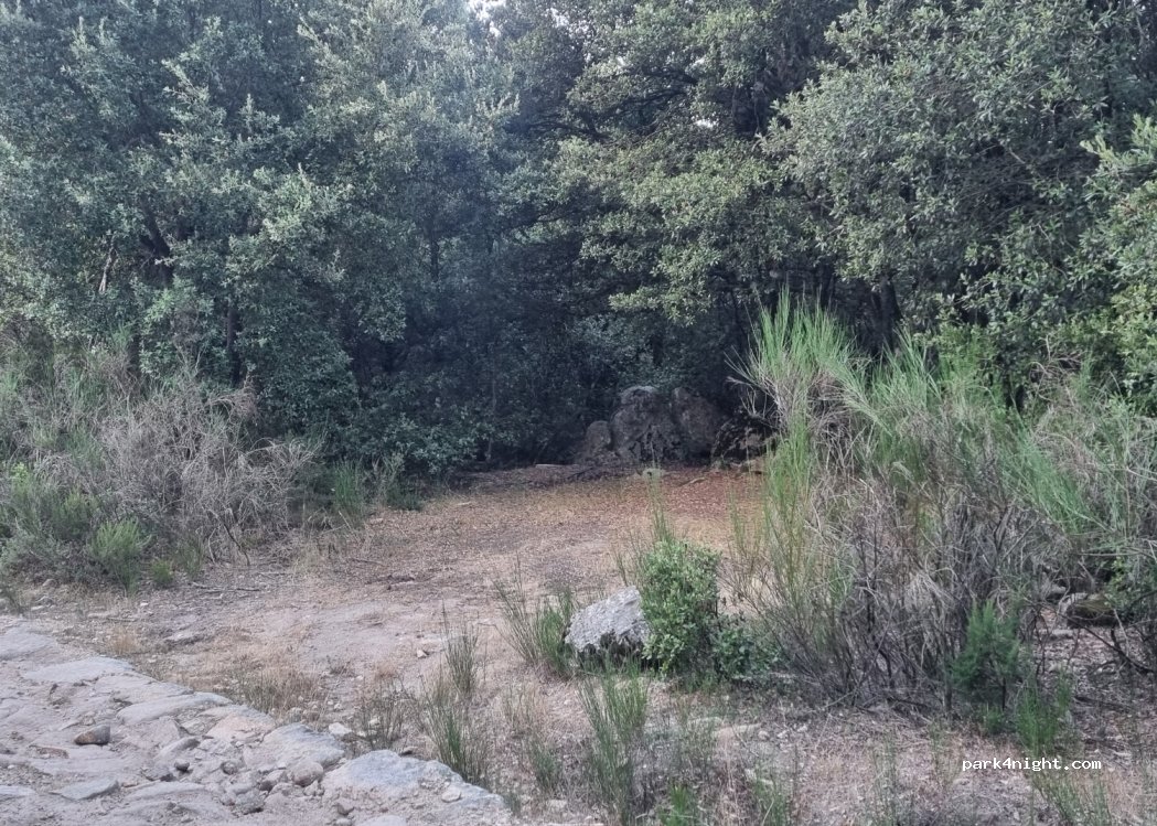 (07029) Vallicciola - SP51 — foto